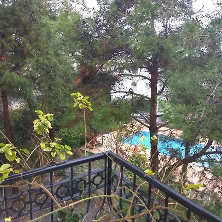 Pine Forest Kyrenia (Northern Cyprus)